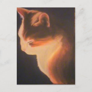 Postal Gato en la oscuridad