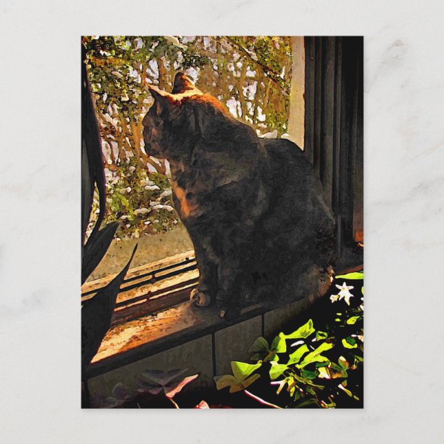 Postal Gato en la ventana (Anverso)