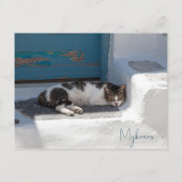 Gato en Mykonos