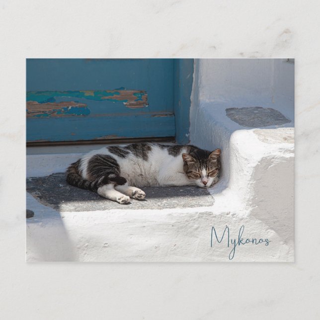 Postal Gato en Mykonos (Anverso)