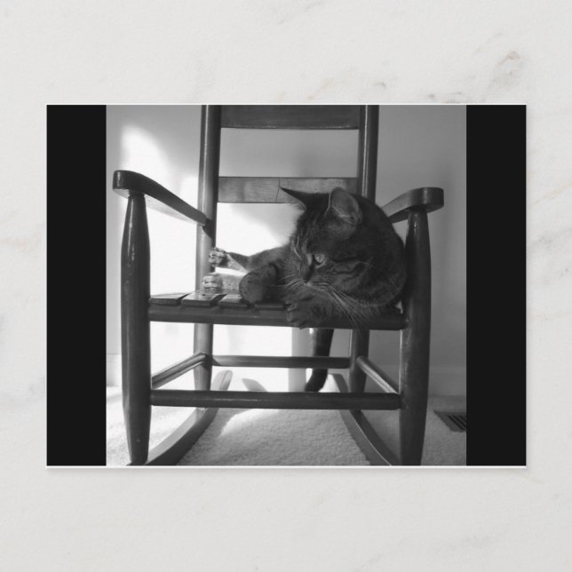 Postal Gato en rockero (Anverso)