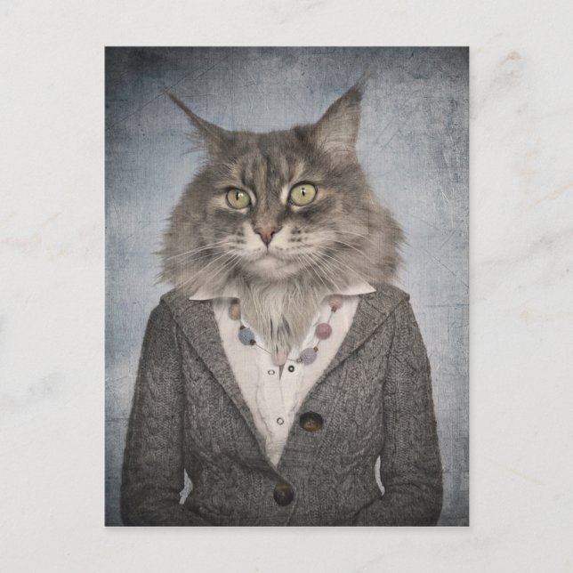 Postal Gato En Ropa (Anverso)