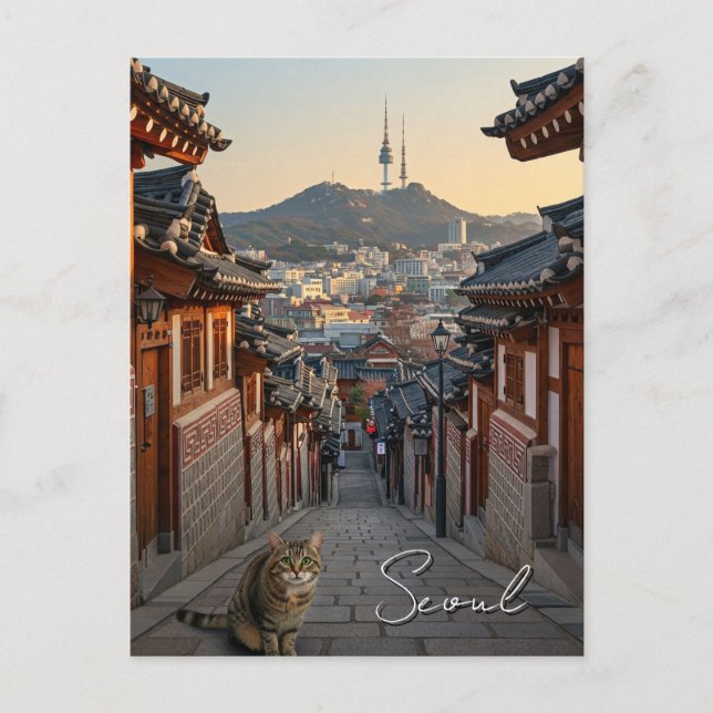 Postal Gato en Seúl Bukchon, Corea del Sur (Anverso)