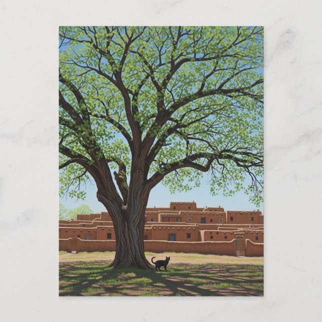 Postal Gato en Taos Pueblo Nuevo México (Anverso)