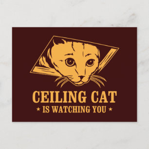 Postal Gato en techo te está vigilando