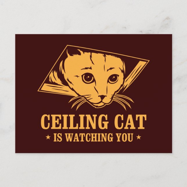 Postal Gato en techo te está vigilando (Anverso)
