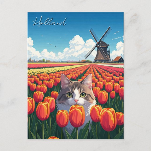 Postal Gato en Tulip Fields Holanda (Anverso)