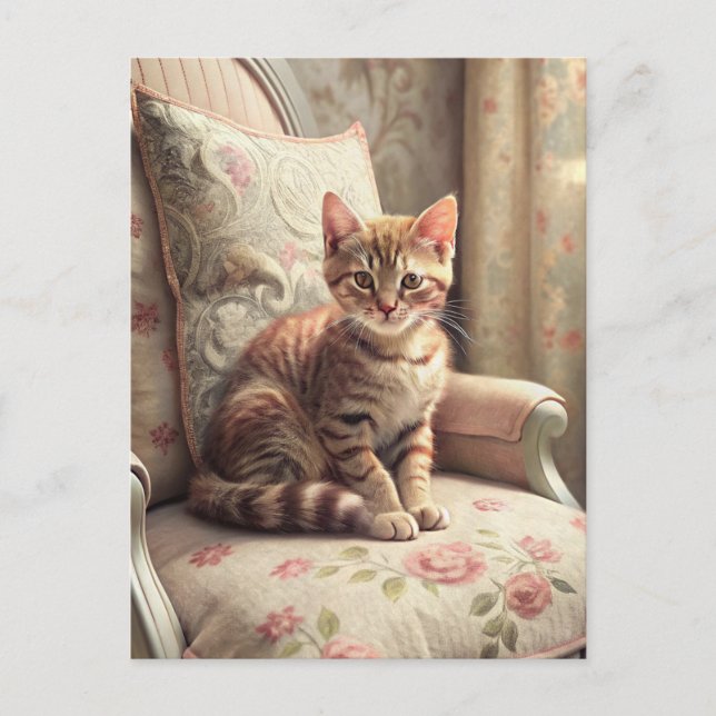 Postal Gato en una silla (Shabby Chic) (Anverso)