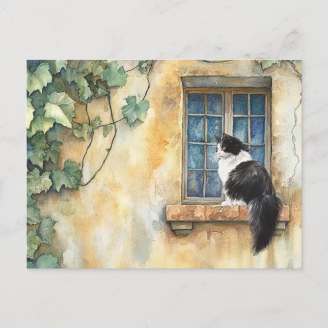 Postal Gato en Windowsill - Postcard (Anverso)