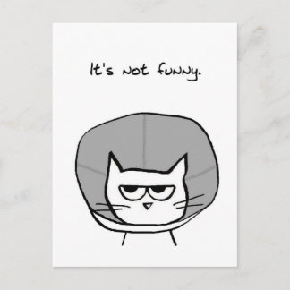 Postal Gato enojado y el cono de la vergüenza