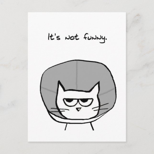 Postal Gato enojado y el cono de la vergüenza (Anverso)