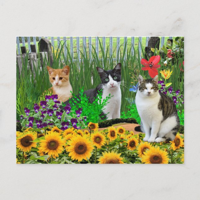Postal Gato Esmoquin en Jardín de Flores / Arte de Collag (Anverso)
