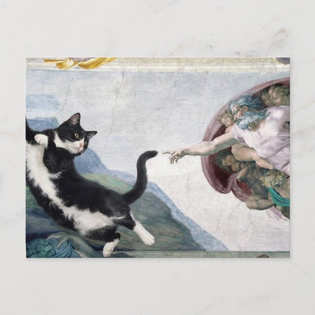 Postal Gato esmoquin tocando la pata divina               (Anverso)