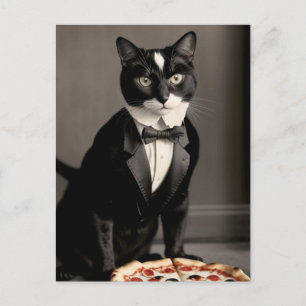 Postal gato esmoquin y pizza