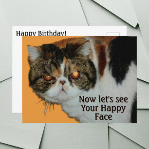 Postal Gato exótico gruñón malhumorado de pelo corto Pers