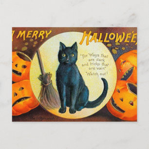 Postal Gato Falln Merry Halloween
