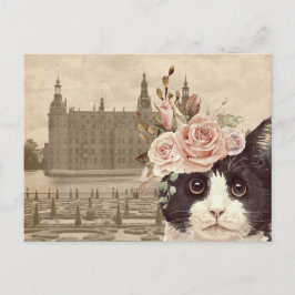 Postal Gato Fancy y el Castillo