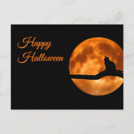 Postal Gato feliz de Halloween