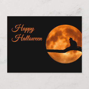 Postal Gato feliz de Halloween