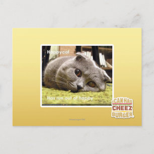 Postal Gato feliz, descontento