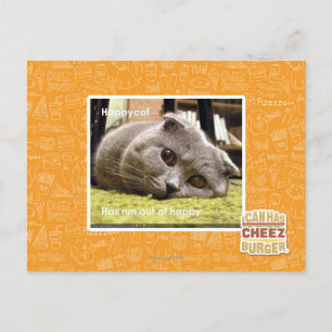 Postal Gato feliz, descontento