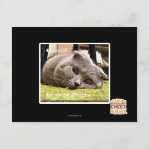 Postal Gato feliz, descontento