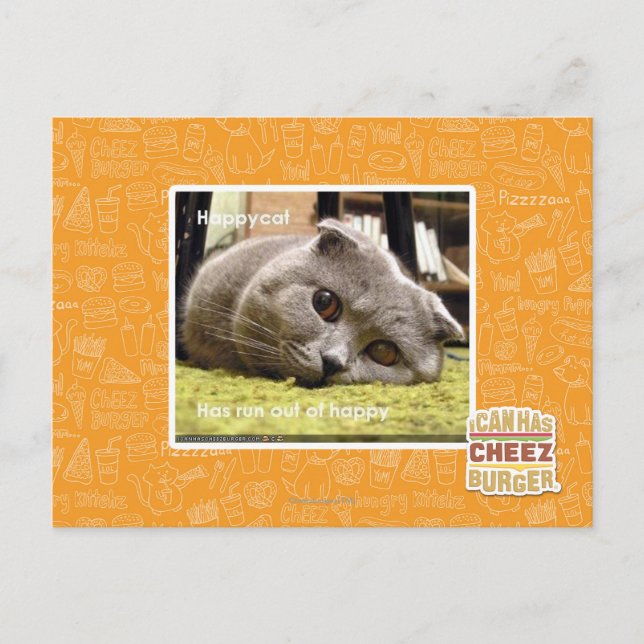 Postal Gato feliz, descontento (Anverso)