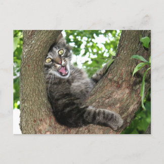 Postal Gato feliz en el árbol