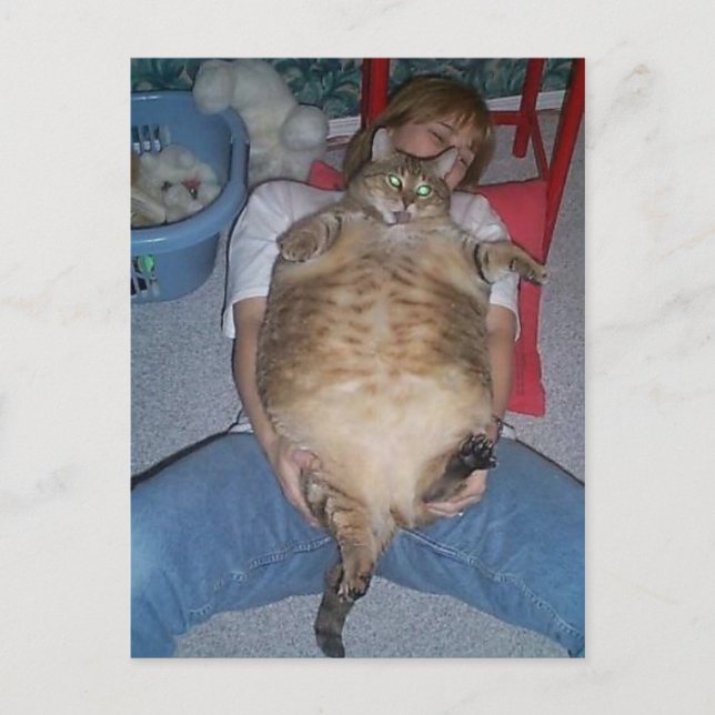 Postal Gato feo (Anverso)