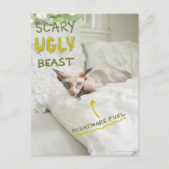 Postal Gato feo asustadizo (Anverso)