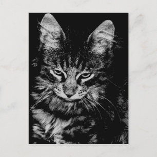 Postal Gato forestal noruego