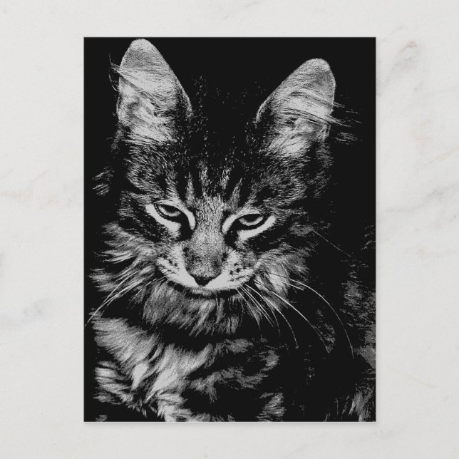 Postal Gato forestal noruego (Anverso)