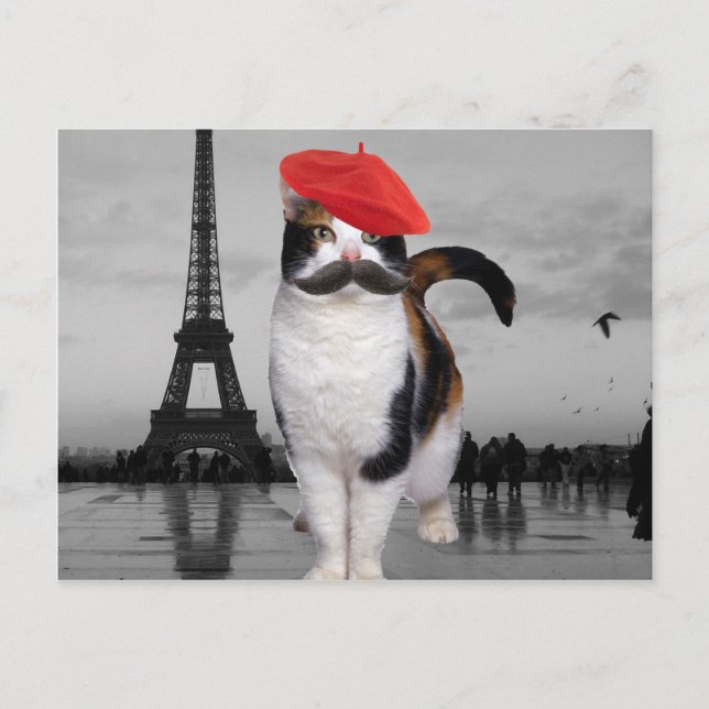 Postal Gato francés en París (Anverso)