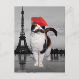 Postal Gato francés en París