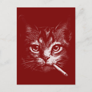 Postal Gato Fumando Divertido 