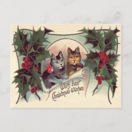 Postal Gato Gatito Acebo