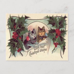 Postal Gato Gatito Acebo