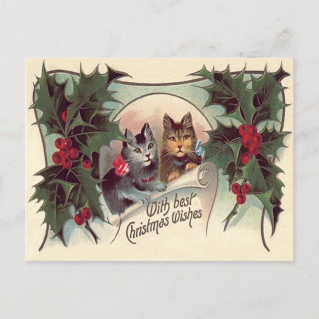 Postal Gato Gatito Acebo (Anverso)