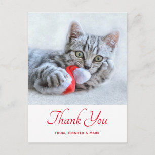 Postal Gato Gatito Adorable Mordiendo Sombrero Rojo de Sa