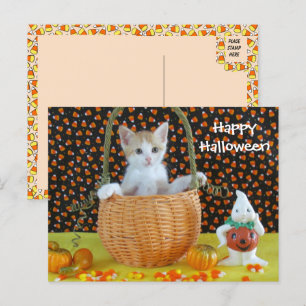 Postal Gato/gatito de canasta de Halloween de Annie