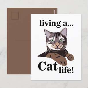 Postal Gato Gatito Divertido