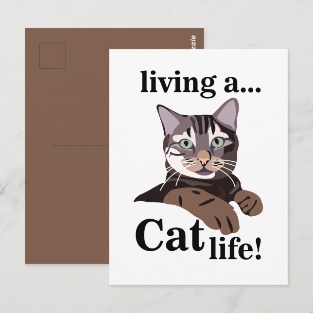 Postal Gato Gatito Divertido (Anverso / Reverso)
