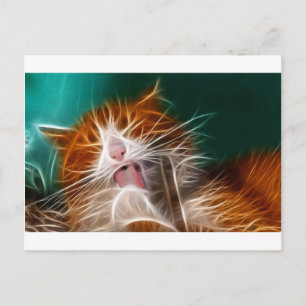 Postal gato gatito gatitos lindo mascota ronroneo miau