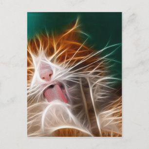 Postal gato gatito gatitos lindo mascota ronroneo miau