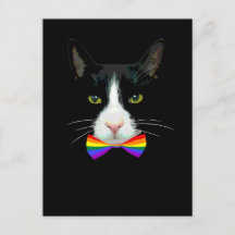 Gato gay LGBT con corbata de arco iris