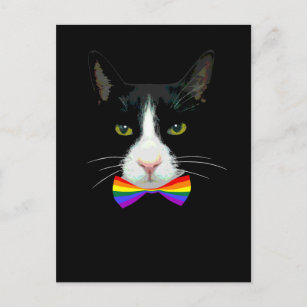 Postal Gato gay LGBT con corbata de arco iris