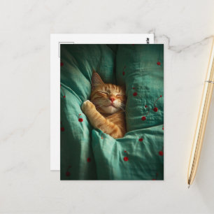 Postal Gato Gordo Dormilón Lindo