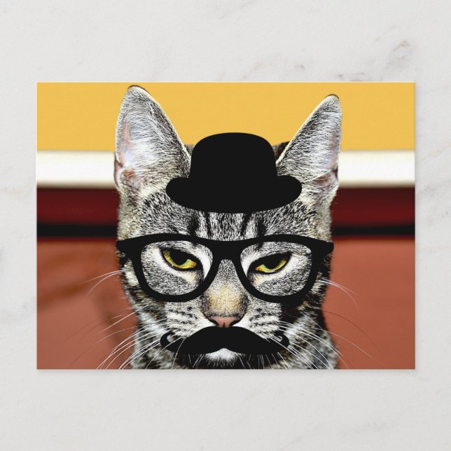 Postal Gato gracioso con Gorra negro y lentes (Anverso)