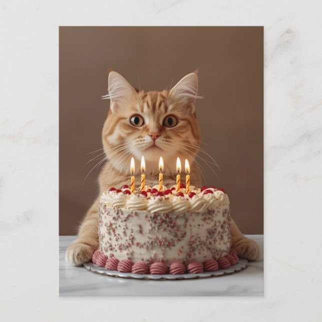 Postal Gato gracioso con torta de cumpleaños (Anverso)