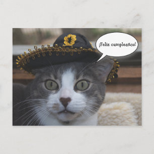 Postal Gato gracioso en Sombrero